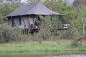 Lodge Review: Magashi Camp, Akagera NP, Rwanda