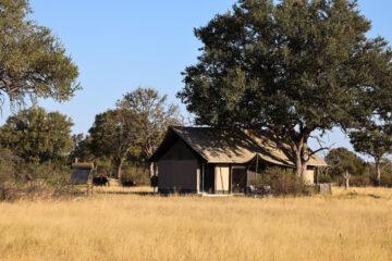 Lodge Review: Wilderness Linkwasha Camp, Zimbabwe