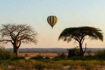 New balloon flights in Tarangire National Park