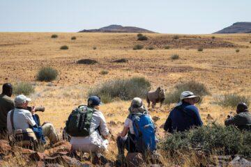 Wilderness Desert Rhino Camp revamp