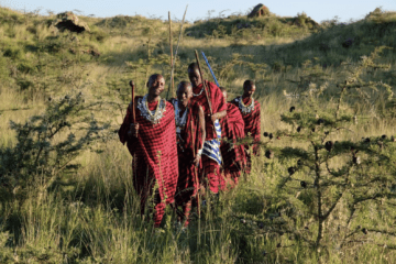 African Scenic Safaris awarded Travelife certification