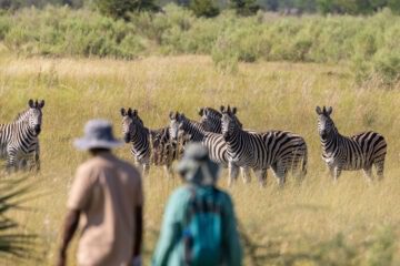 Discover Botswana with Adventure Destinations