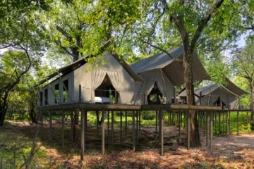 Great Plains introduces Mara Toto Tree Camp