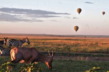 Introducing the Trans-Serengeti Balloon Safari Expedition