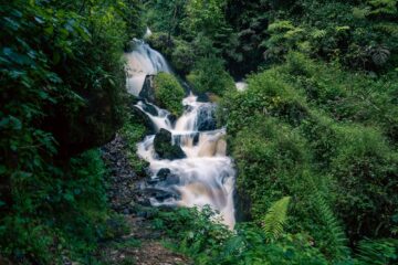 Explore the Cyinzobe Trail in Rwanda