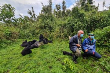 A guide to Gorilla Trekking in Rwanda