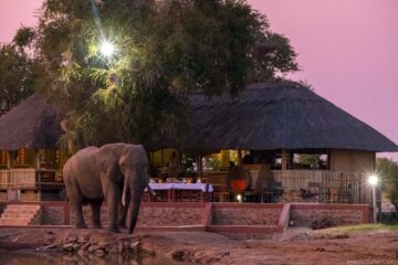 Imvelo’s Nehimba Lodge gets a refresh