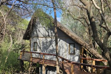 Lodge Review: Jaci’s Lodges, Madikwe, South Africa