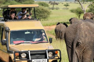 Africa’s Tourism sector worth $36.72 billion