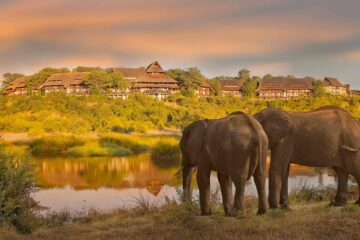 Victoria Falls Safari Lodge celebrates 30 years