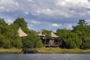 Lodge Review: Wilderness DumaTau Camp, Linyanti Reserve, Botswana