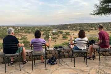 Are real safaris a thing of the past?