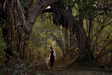 Sungani Lodge and Kulandila Camp special offers