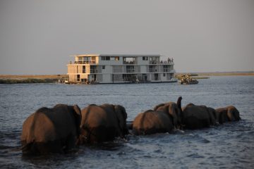 Zambezi Queen Collection announces new leadership and product updates