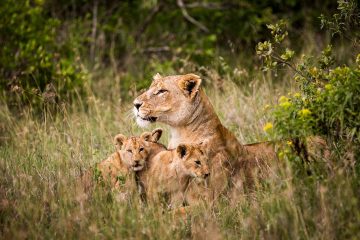 Adventure World strengthens commitment to ethical animal tourism