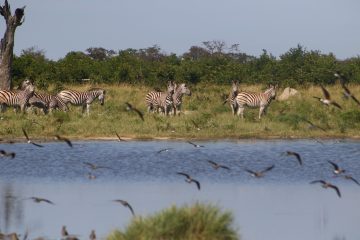 Exploring the wonders of Kavango Zambezi